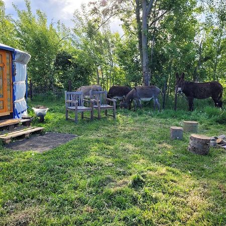 Slapen Tussen De Ezels In De Yurt Hotel Aarschot Luaran gambar