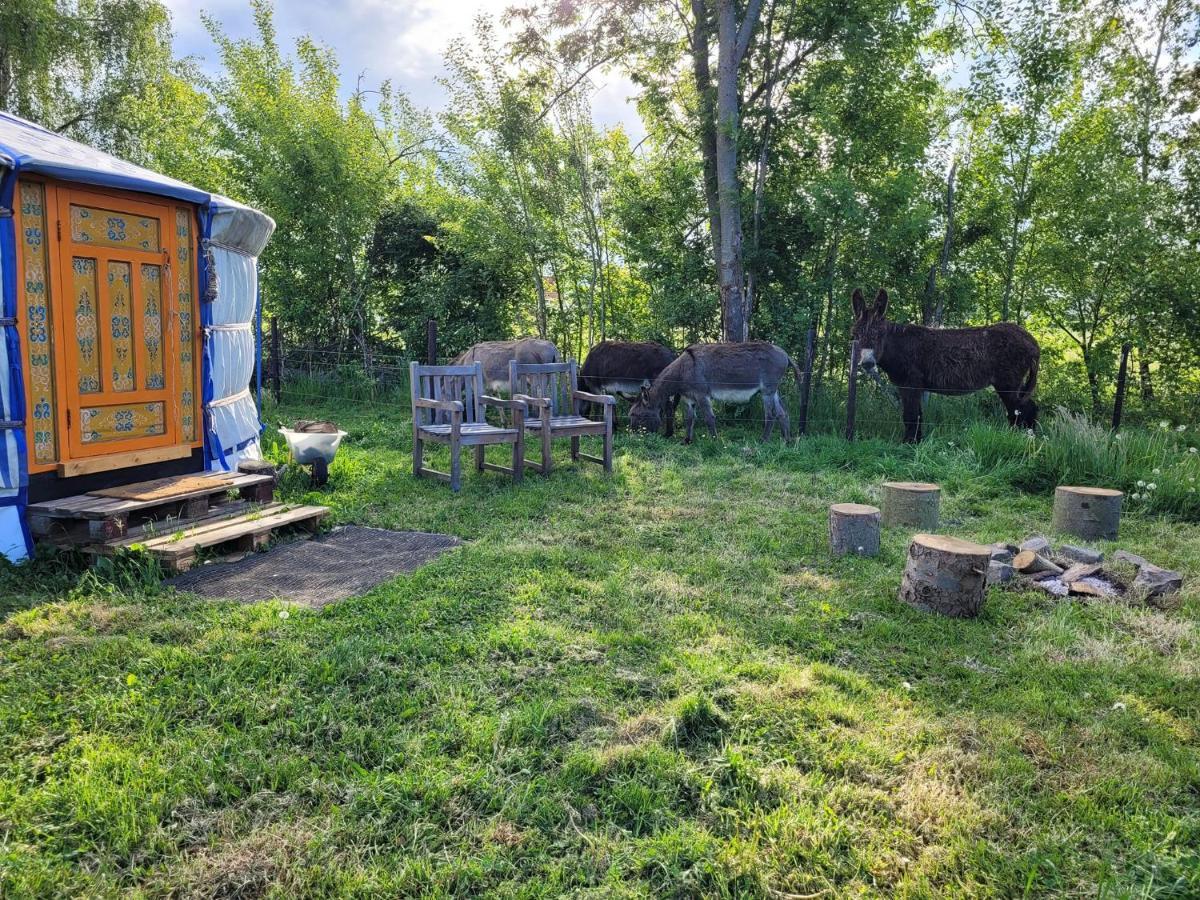 Slapen Tussen De Ezels In De Yurt Hotel Aarschot Luaran gambar