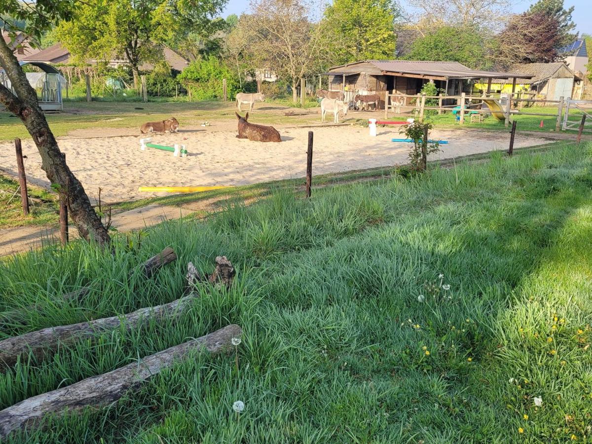 Slapen Tussen De Ezels In De Yurt Hotel Aarschot Luaran gambar