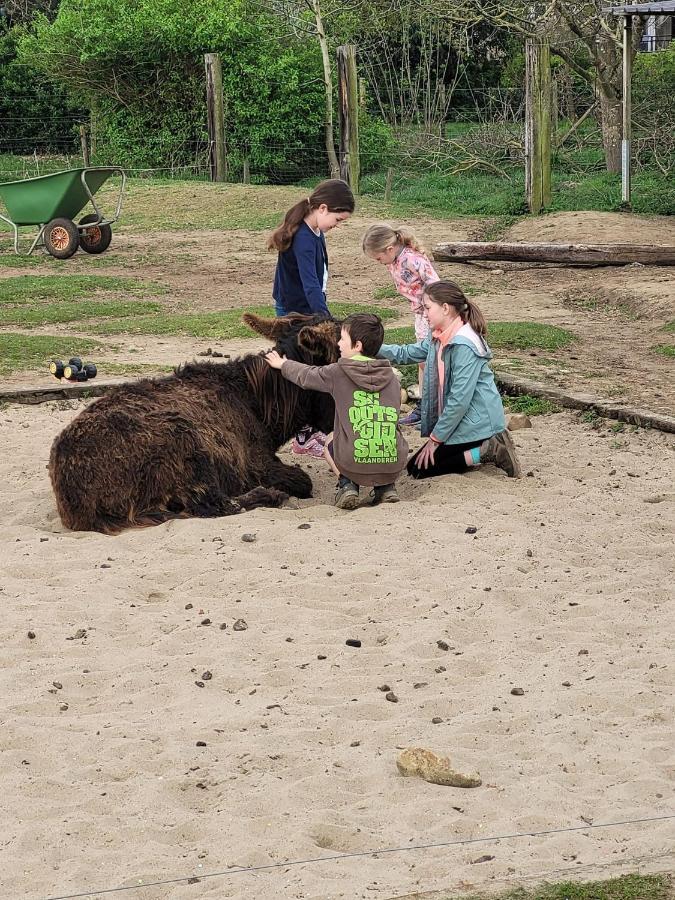 Slapen Tussen De Ezels In De Yurt Hotel Aarschot Luaran gambar